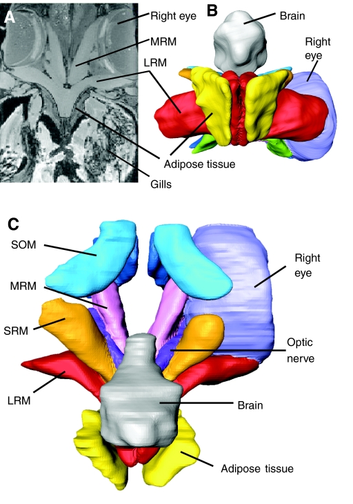 Fig. 3.