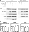 Figure 4.