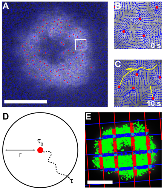 Fig. 2.