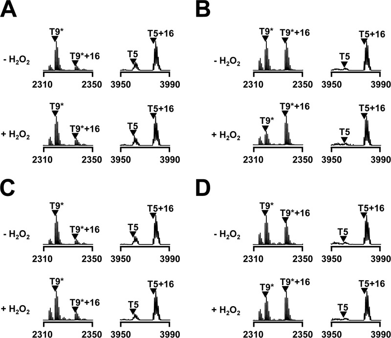 FIGURE 4.