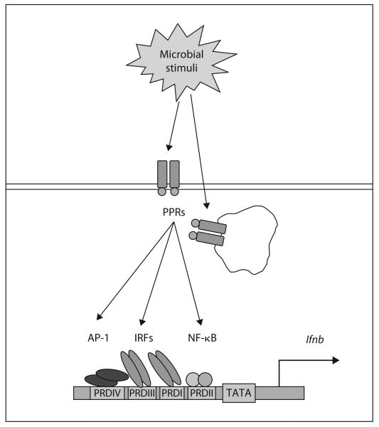 Fig. 1