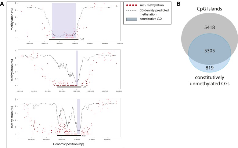 Figure 5—figure supplement 1.