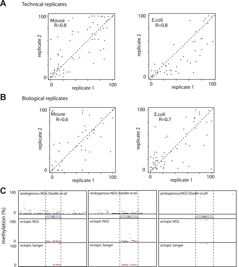 Figure 2—figure supplement 1.