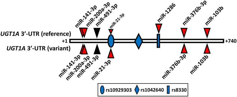 Figure 8.