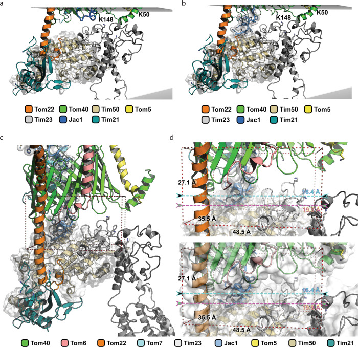 Fig. 6