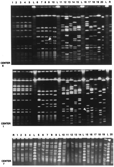 FIG. 1