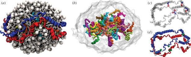 Figure 5.