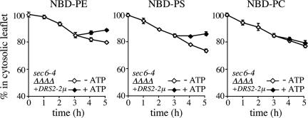 Figure 6.