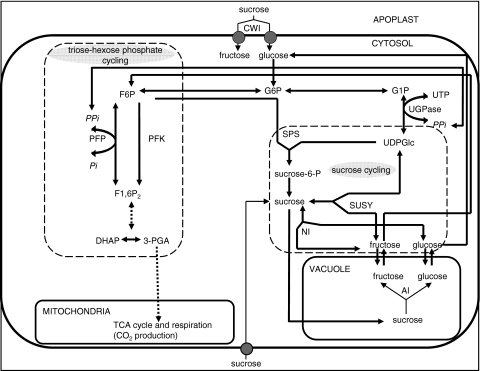 Fig. 1