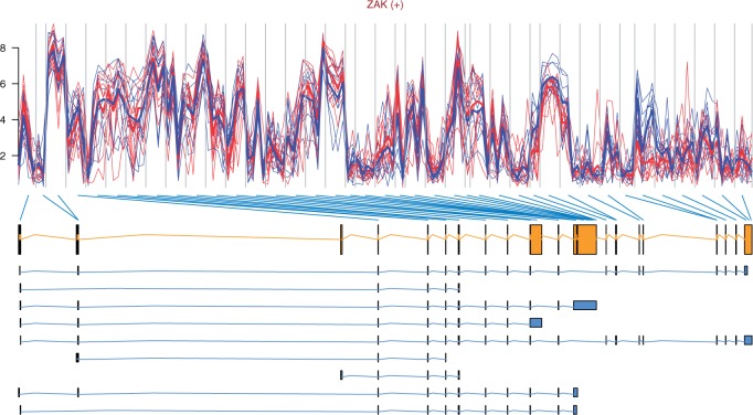 Figure 5: