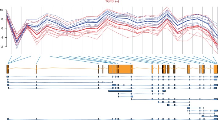 Figure 3: