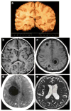 Fig. 8