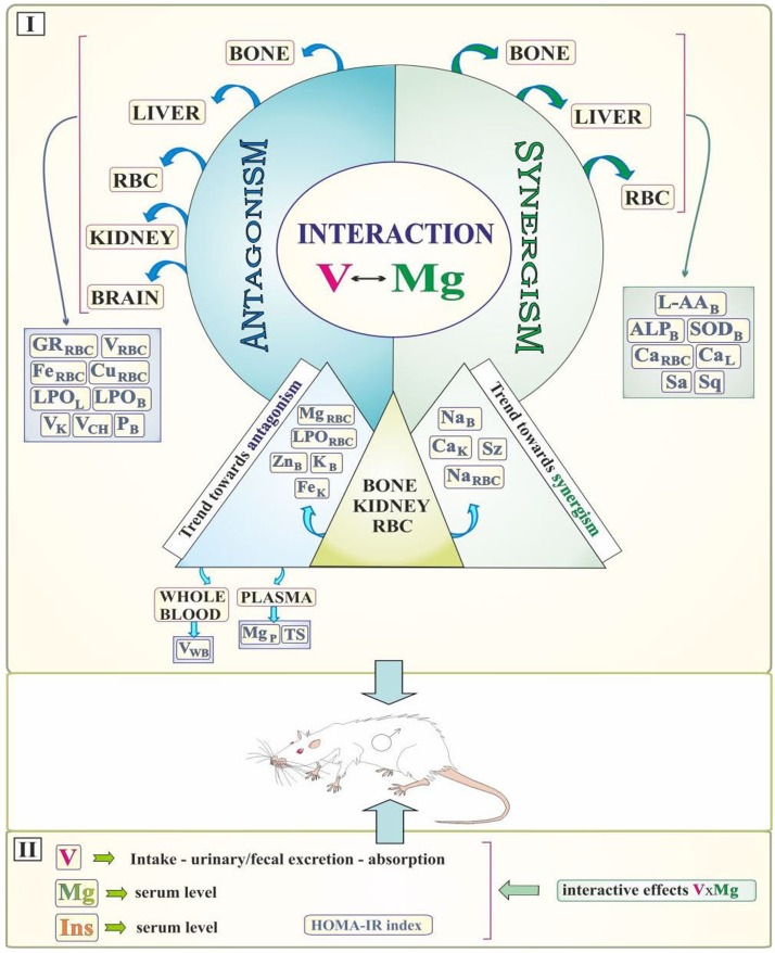 Fig. 18