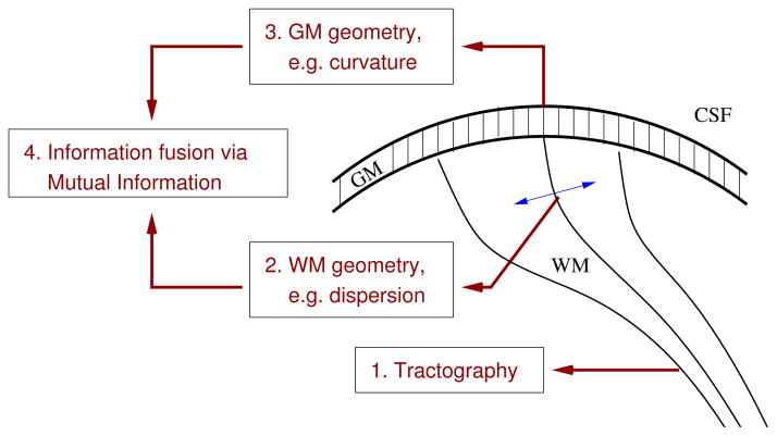 Fig. 1