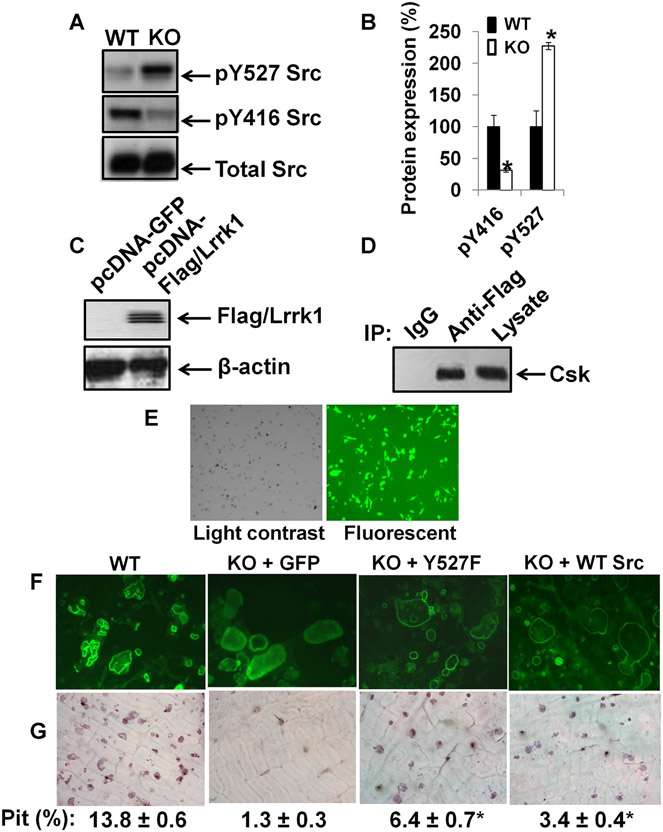 Fig. 9.