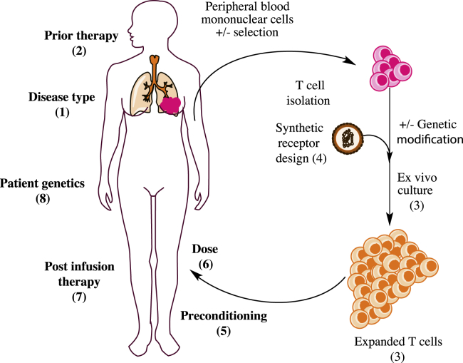 Figure 2