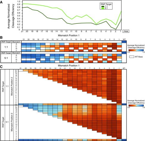 FIG. 2.