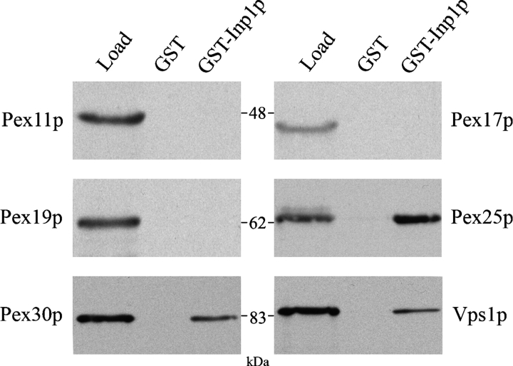 Figure 9.