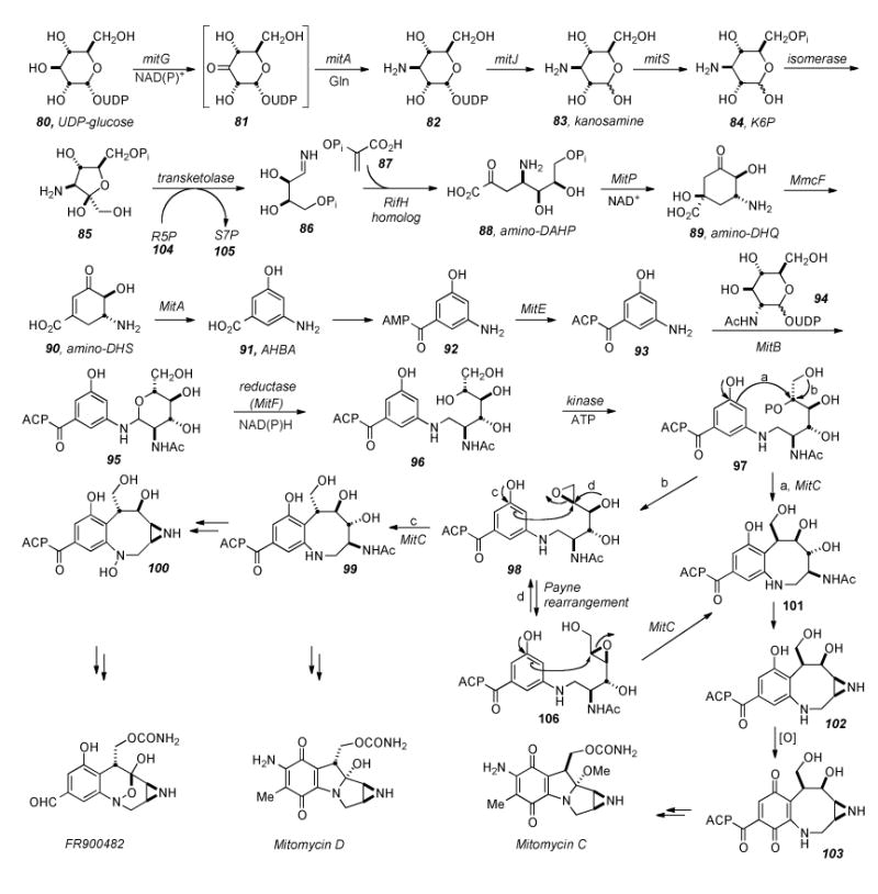 Scheme 18