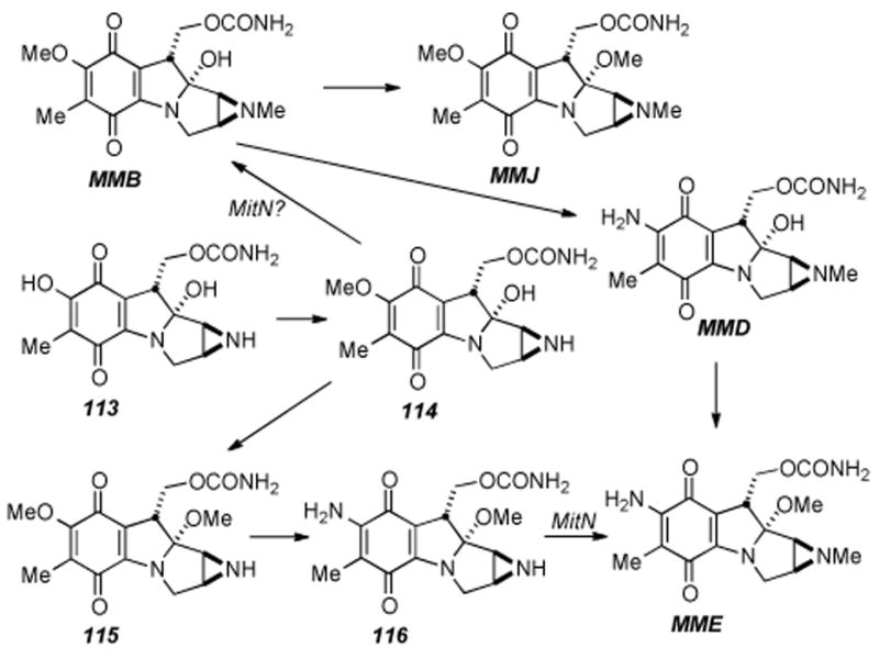 Scheme 21