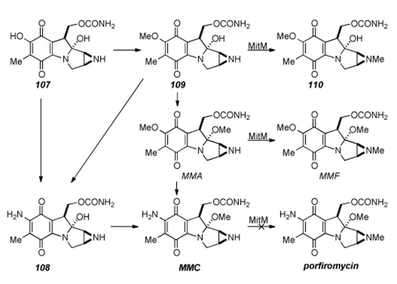 Scheme 19