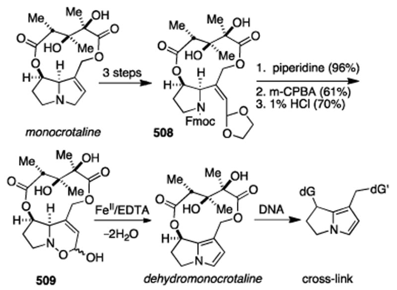 Scheme 93