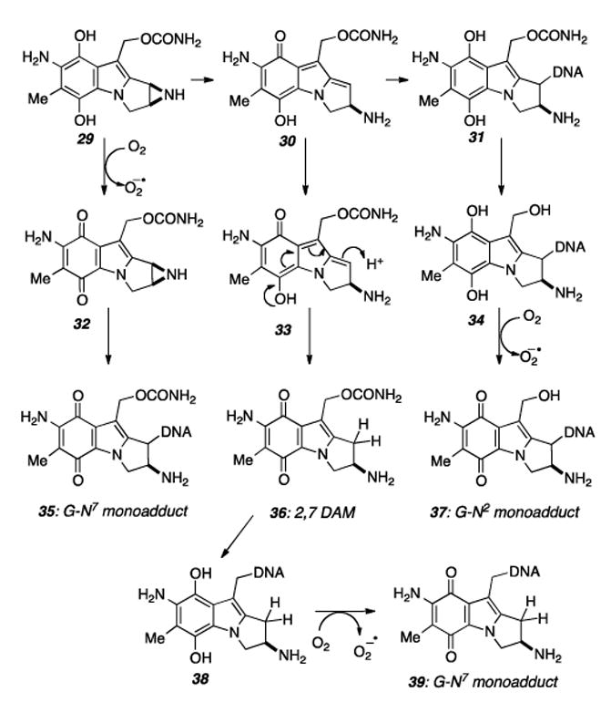 Scheme 6