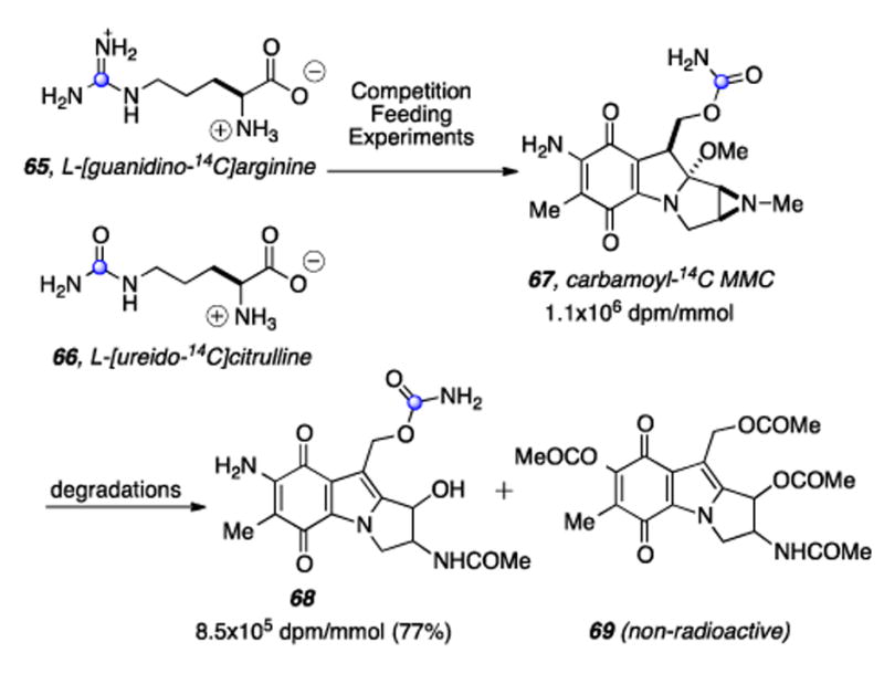 Scheme 15