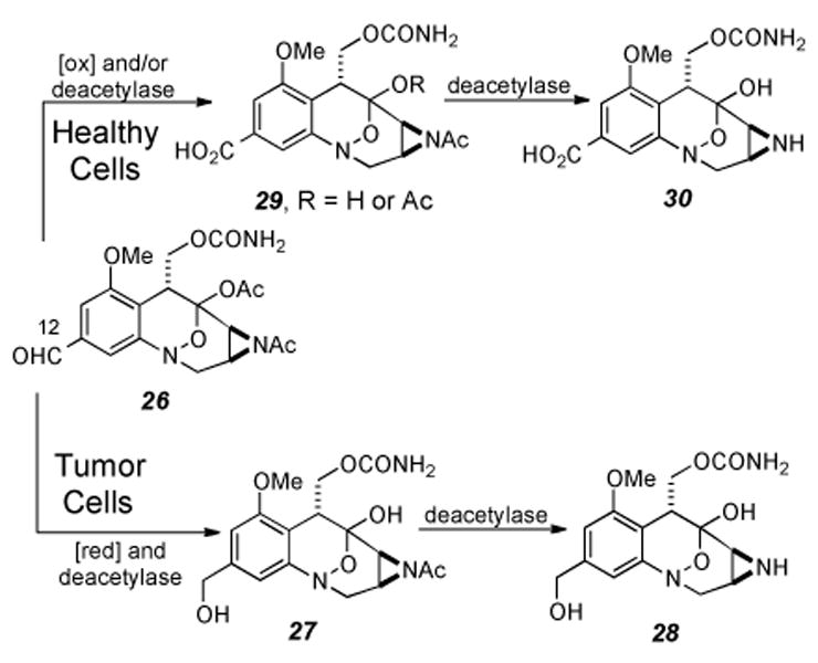 Scheme 5