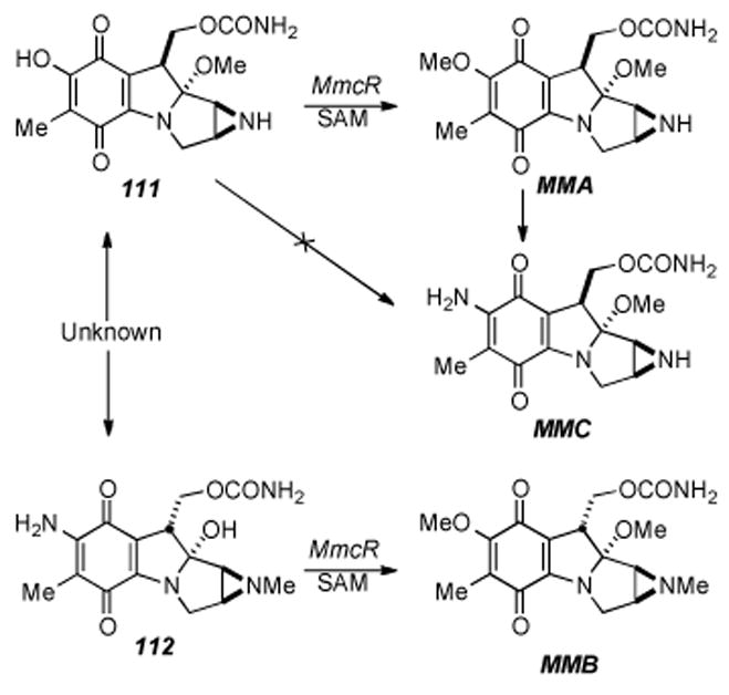 Scheme 20