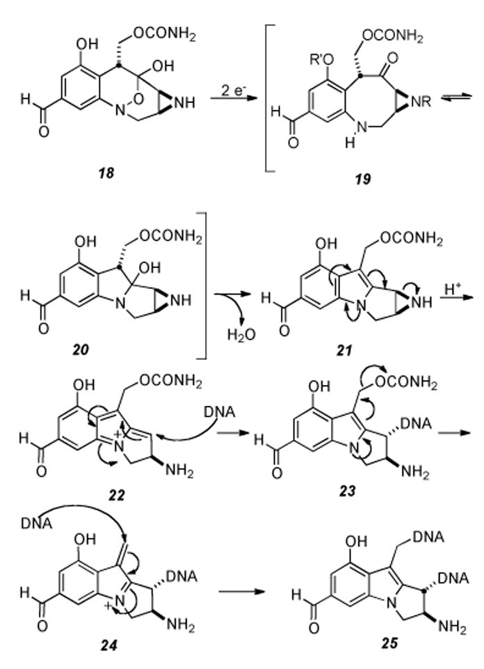 Scheme 4