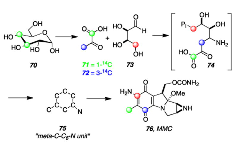 Scheme 16