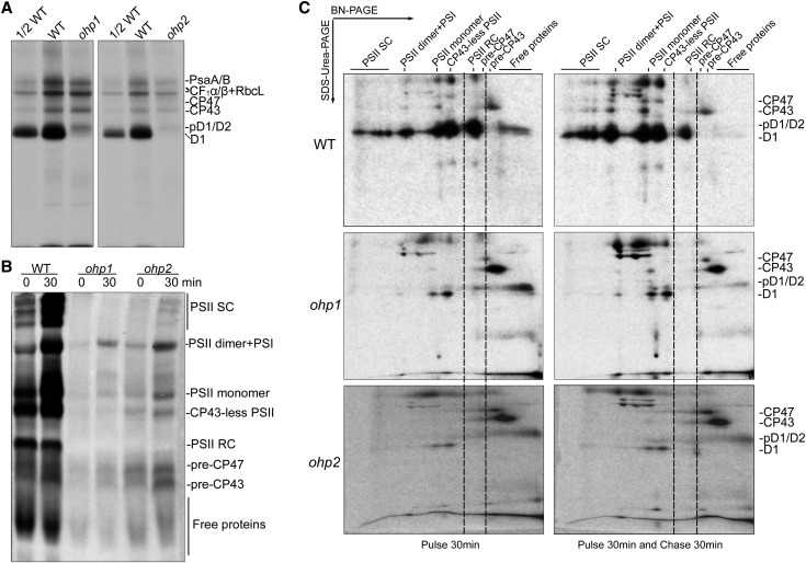 Figure 3.