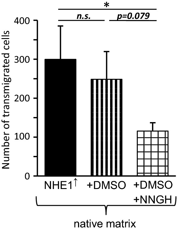 Fig. 8