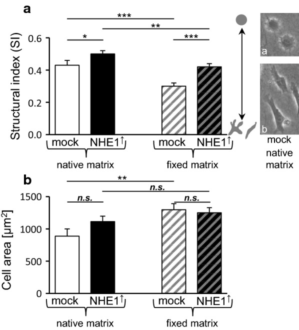 Fig. 6