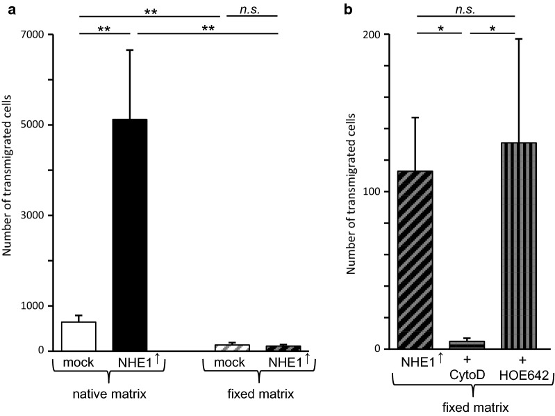 Fig. 7