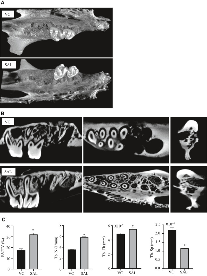 FIGURE 3