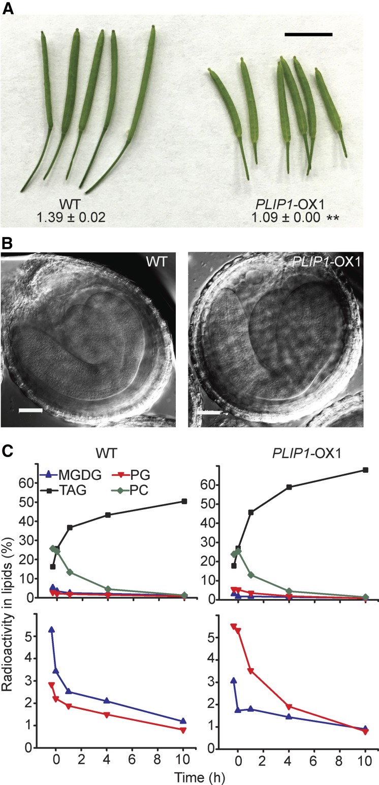 Figure 9.