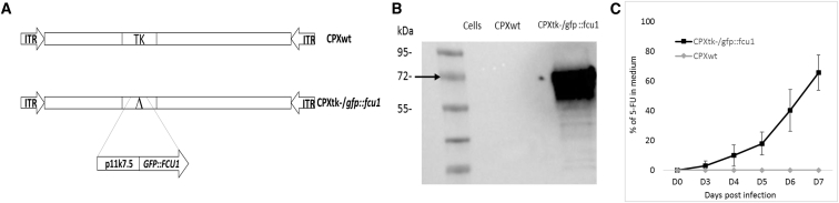 Figure 1