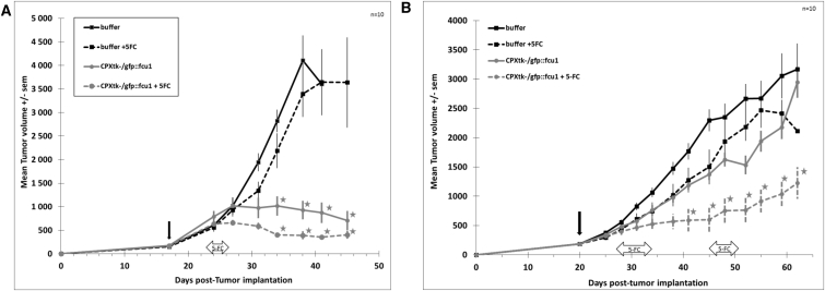 Figure 5