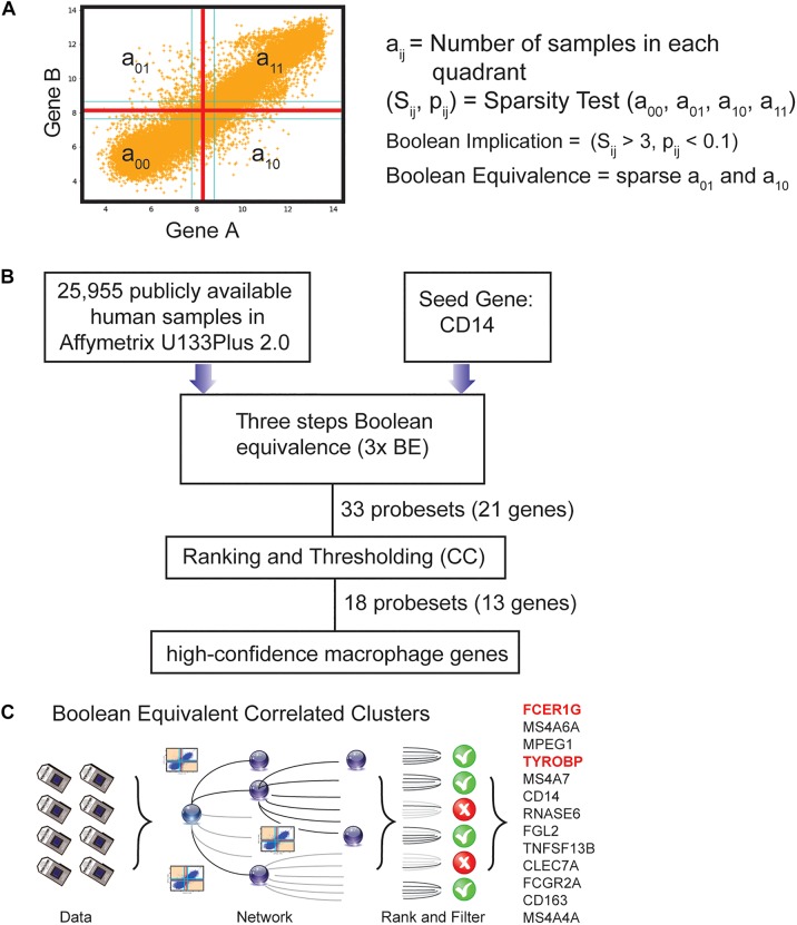 FIGURE 1