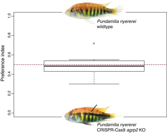 FIGURE 3