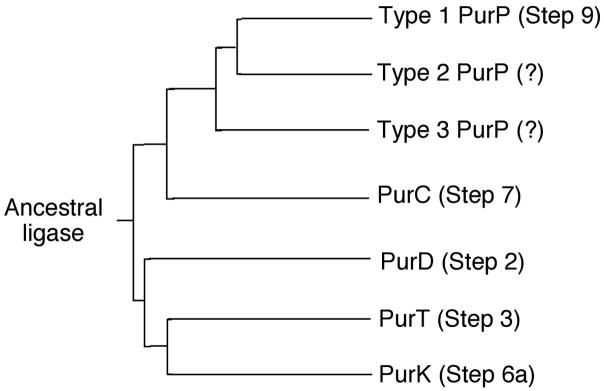 Figure 25