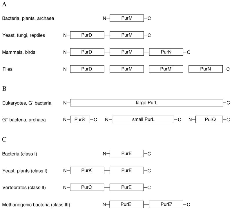 Figure 24