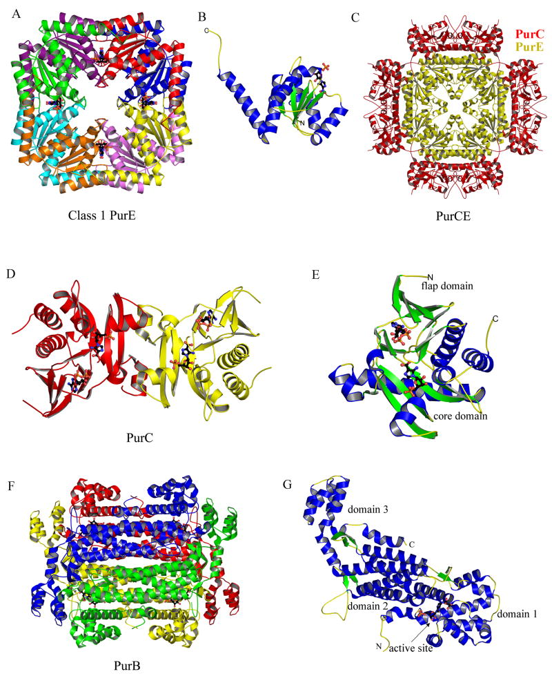 Figure 13