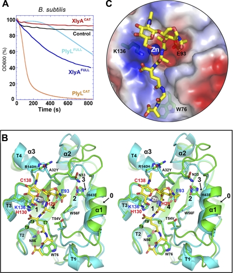 FIGURE 2.