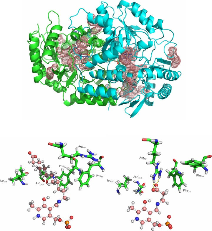 FIG 3