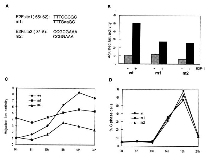 FIG. 10