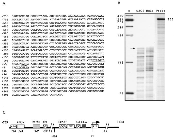 FIG. 8