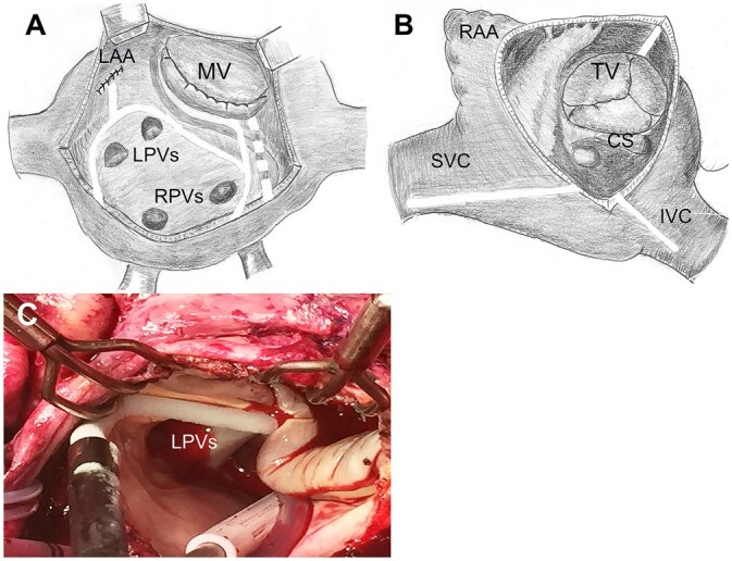 Figure 1: